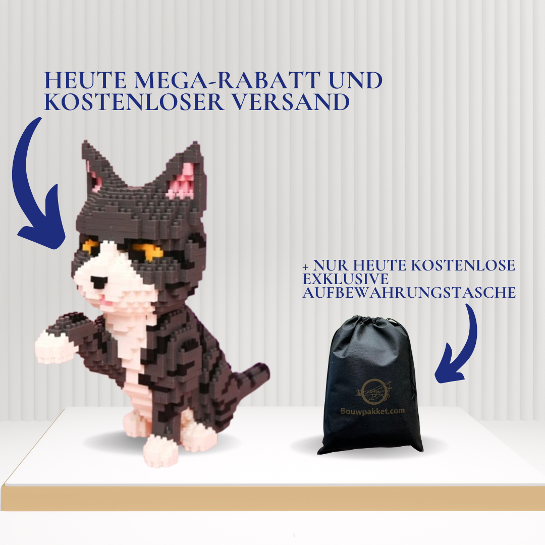 Graue Katze | Morgen zu Hause