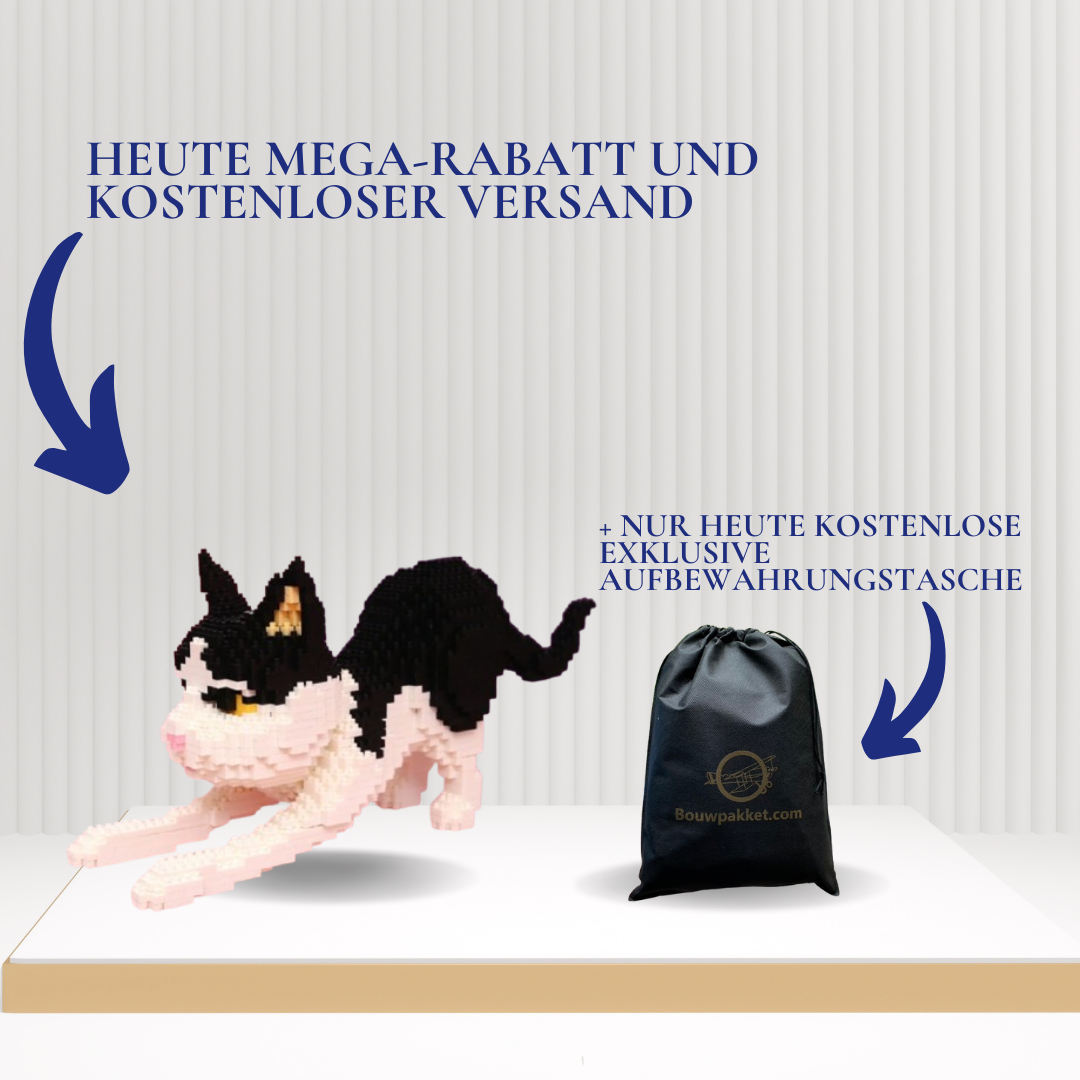 Katze | Morgen zu Hause