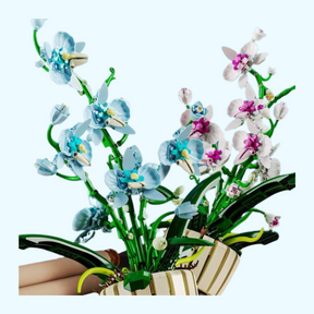 Orchidee | Bausteine